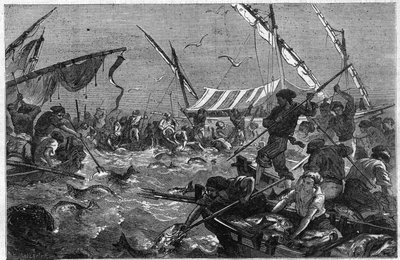 Thunfischfang mit der Falle an der Küste der Provence in Frankreich. Gravur in „The Illustrious Universe“ von Unknown artist