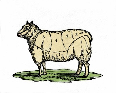 Verschiedene Stücke von Schafsfleisch. Illustration aus dem späten 19. Jahrhundert. von Unknown artist