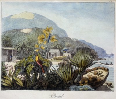 Ansicht von Brasilien in „Ansichten und Landschaften der Äquatorialregionen, gesammelt auf einer Weltreise“, 19. Jahrhundert von Unknown artist