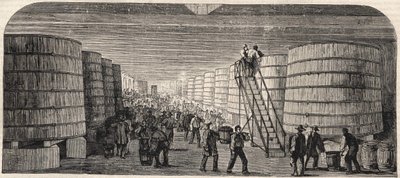 Ansicht des Kellers im Château - Lafitte im Jahr 1860 von Unknown artist