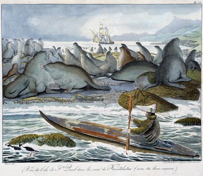 Ansicht der Insel St. Paul im Meer von Kamtschatka mit Seelöwen von Unknown artist