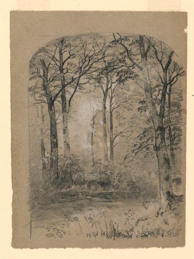 Waldstudie, 1865–70 von Unknown artistUnknown artist