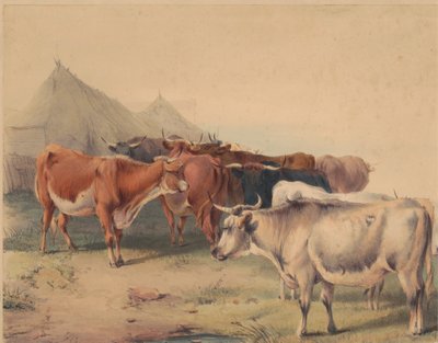 Eine Herde Rinder von Unknown artist