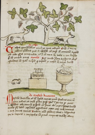 Ein Wiesel und mehrere gefangene Mäuse von Unknown artist