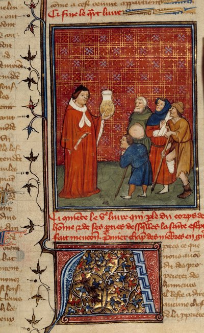 Ein Arzt untersucht ein Glas Urin vor Patienten. Miniatur aus Barthelemy dem Engländer von Unknown artist