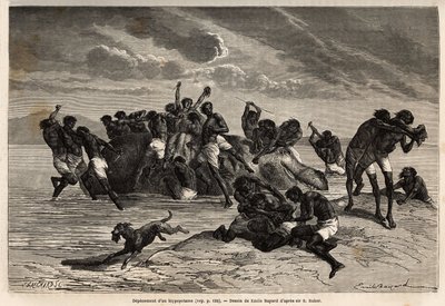 Nachdem sie ihren Anteil und den dem Anführer des Hamran-Stammes zugewiesenen Anteil genommen haben, kämpft die Menge brutal um die verbleibenden Stücke. Gravur zur Illustration der Erforschung der abessinischen Nebenflüsse des Nils, von Sir Samuel W. Bake von Unknown artist