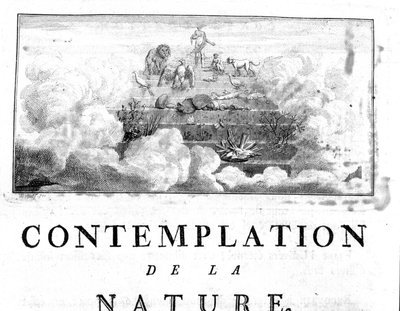 Allegorische Darstellung der Evolution des Menschen von Mineralien, über Pflanzen- und Tierarten. Charles Bonnet, Betrachtung der Natur, Neuchatel von Unknown artist