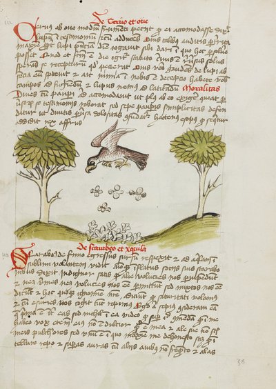 Ein Adler fliegt über einen Schwarm von Insekten von Unknown artist