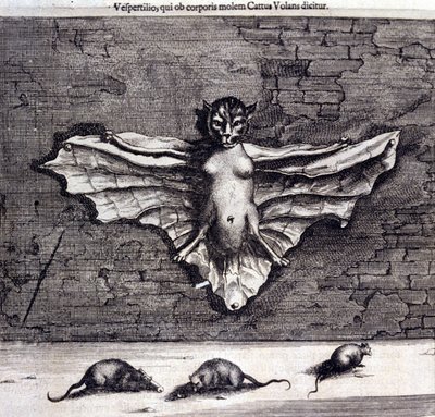 Fledermäuse und Ratten, aus „De China Monumenta“ von Athanasius Kircher von Unknown artist