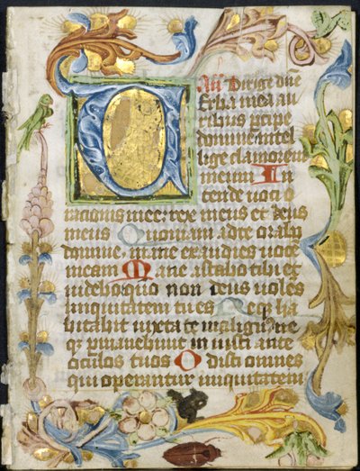 Bifolio aus einem Stundenbuch: Initiale V mit Blumenrand von Unknown artist
