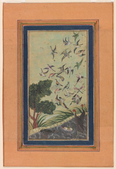 Vögel in Baran, möglicherweise aus dem Babur-nama von Unknown artist