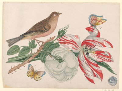 Brauner Vogel auf Zweig mit Rose, Tulpe und Insekten von Unknown artist