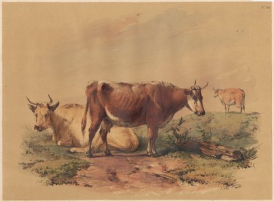 Vieh von Unknown artist