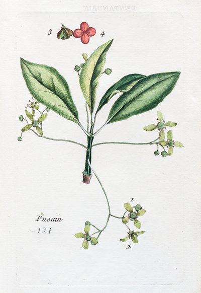 Holzkohle von Unknown artist