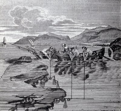 Korallenfischen mit Hilfe von Salaber und Ausrüstung von Unknown artist
