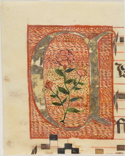 Geschmückter Initialbuchstabe "A" mit Blume aus einem Manuskript von Unknown artist