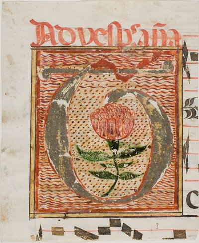 Geschmücktes Initial "T" mit Blume aus einem Manuskript von Unknown artist