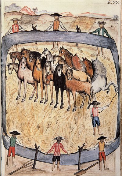 Dressur von Wildpferden, aus dem Buch "Trujillo del Peru" oder "Códice Martínez Compañón", von Baltazar Martinez Compañón y Bujanda, Bischof von Trujillo (1782-1785) von Unknown artist