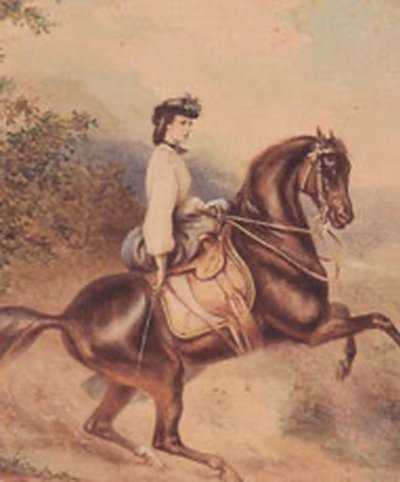 Elisabeth, Kaiserin von Österreich und Königin von Ungarn (24. Dezember 1837 – 10. September 1898) (Illustration) von Unknown artist