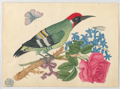 Europäischer Grünspecht auf einem Ast mit Rose und Vergissmeinnicht von Unknown artist