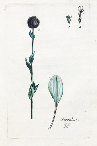 Kugelförmig von Unknown artist