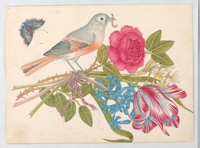 Grauer und korallenfarbener Vogel auf Bouquet mit Rose, Tulpe, Gänseblümchen und Vergissmeinnicht, mit Schmetterling von Unknown artist