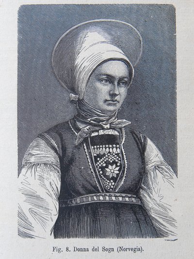 Illustration aus "Die menschliche Rasse" von Louis Figuier von Unknown artist
