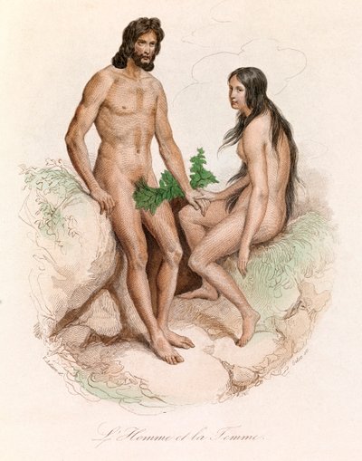 Illustration aus dem Buch "Gesammelte Werke von Buffon": Naturgeschichte des Menschen: Mann und Frau (Gravur) von Unknown artist