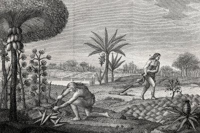 Indigene arbeiten das Land im Orinoco-Becken von Kolumbien. Gravur 1780 von Unknown artist