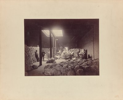 [Innenansicht des Wollsortierhauses, Walter Brown und Company] von Unknown artist