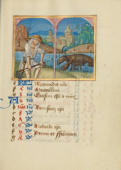 Juni Kalenderseite; Mähen; Krebs von Unknown artist