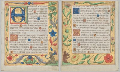Blatt aus einem Psalter und Gebetbuch: Initiale E mit ornamentalem Rand, der einen sitzenden Satyr und einen Vogel, der Trauben isst, enthält (recto) und ornamentaler Rand mit Blumen und Eichhörnchen (verso) (2 von 3 ausgeschnittenen Blättern) von Unknown artist