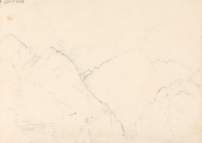 Madeira-Fischer, 14. Januar 