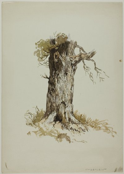 Alter Baumstamm von Unknown artist