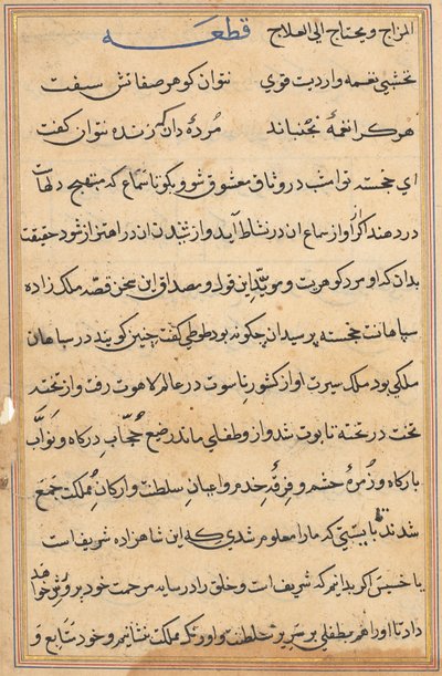 Seite aus Geschichten eines Papageis (Tuti-nama): Textseite von Unknown artist