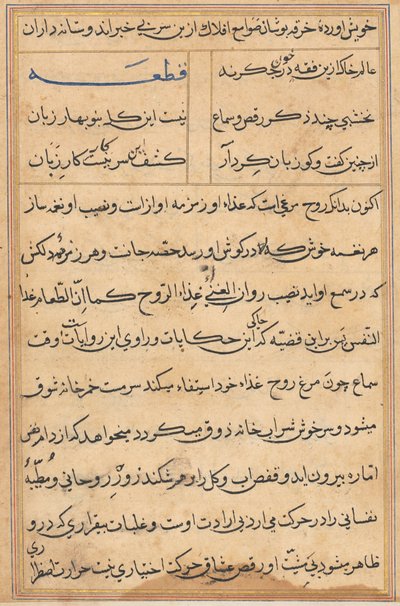 Seite aus Geschichten eines Papageis (Tuti-nama): Textseite von Unknown artist