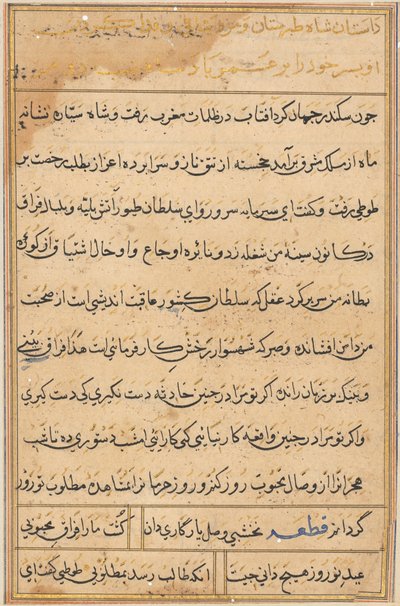 Seite aus Geschichten eines Papageis (Tuti-nama): Textseite von Unknown artist
