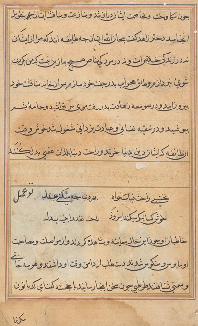 Seite aus Geschichten eines Papageis (Tuti-nama): Textseite von Unknown artist