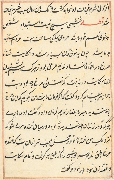 Seite aus Geschichten eines Papageis (Tuti-nama): Textseite von Unknown artist