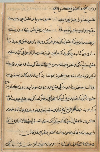Seite aus Geschichten eines Papageis (Tuti-nama): Textseite von Unknown artist