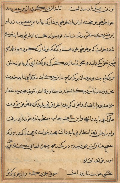 Seite aus Geschichten eines Papageis (Tuti-nama): Textseite von Unknown artist