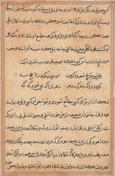 Seite aus Geschichten eines Papageis (Tuti-nama): Textseite von Unknown artist