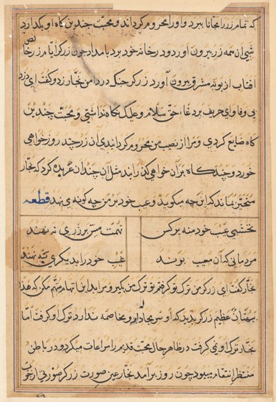 Seite aus Geschichten eines Papageis (Tuti-nama): Textseite von Unknown artist