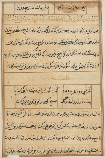 Seite aus Geschichten eines Papageis (Tuti-nama): Textseite von Unknown artist
