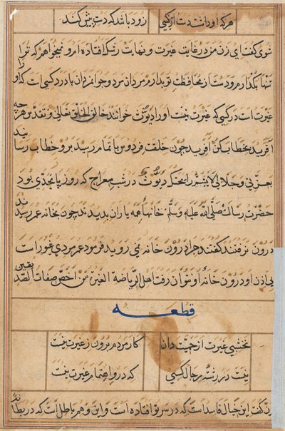 Seite aus Geschichten eines Papageis (Tuti-nama): Textseite von Unknown artist