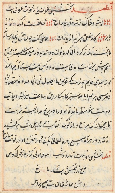 Seite aus Geschichten eines Papageis (Tuti-nama): Textseite von Unknown artist