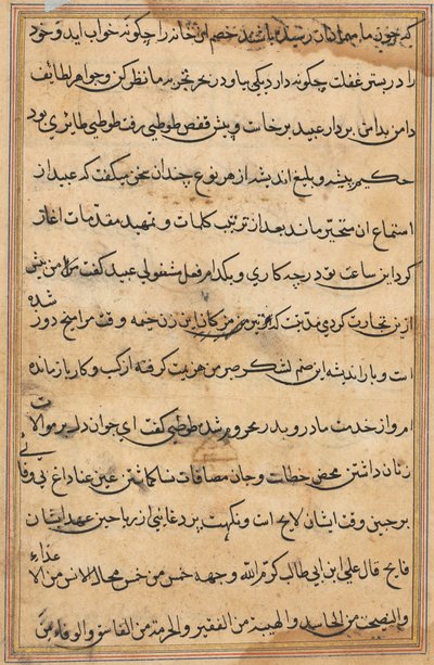 Seite aus Geschichten eines Papageis (Tuti-nama): Textseite von Unknown artist