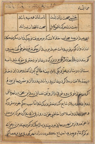 Seite aus Geschichten eines Papageis (Tuti-nama): Textseite von Unknown artist