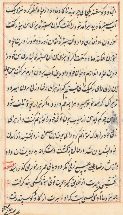 Seite aus Geschichten eines Papageis (Tuti-nama): Textseite von Unknown artist