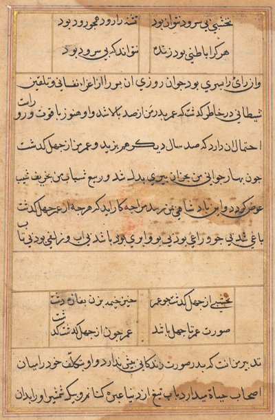 Seite aus Geschichten eines Papageis (Tuti-nama): Textseite von Unknown artist